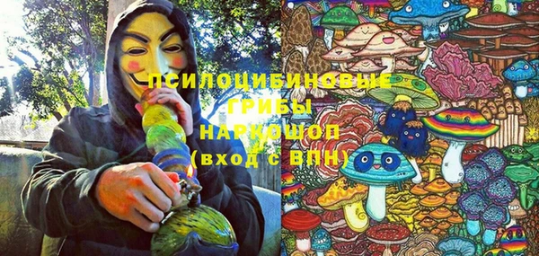 ПСИЛОЦИБИНОВЫЕ ГРИБЫ Остров