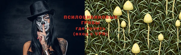 ПСИЛОЦИБИНОВЫЕ ГРИБЫ Остров