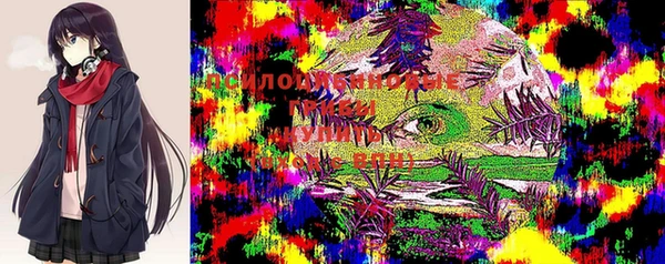 ПСИЛОЦИБИНОВЫЕ ГРИБЫ Остров
