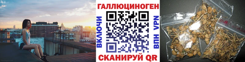Галлюциногенные грибы Psilocybe Котельнич